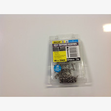 Screws 6mm x 10mm Phillips Head 304 Stainless Steel